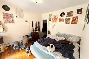 60 Empire St, Boston, MA 02134 - Photo 15