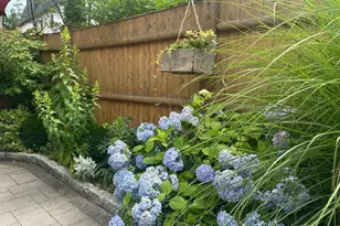 42 Oak St, Somerville, MA 02143 - Photo 25