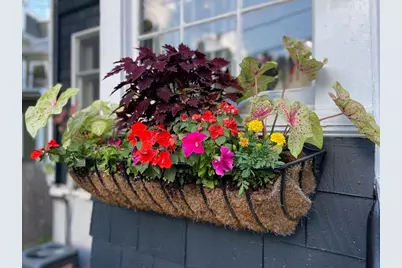 42 Oak St #42, Somerville, MA 02143 - Photo 29