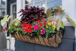 42 Oak St, Somerville, MA 02143 - Photo 29