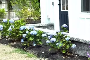 14 Old Country Way, Scituate, MA 02066 - Photo 39