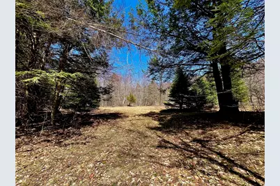 374 Watson Spruce Corner Rd, Ashfield, MA 01330 - Photo 39