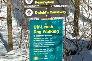 52 Orchard St, Medfield, MA 02052 - Photo 33