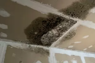 91 Old Poor Farm Rd, Ware, MA 01082 - Photo 9