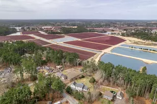 40 Fosdick, Carver, MA 02330 - Photo 25