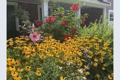 175 Carter Field Rd, North Andover, MA 01845 - Photo 33