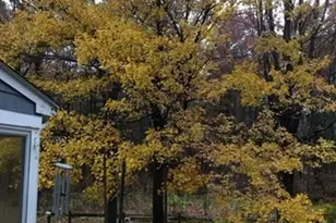 516 Cross St, Carlisle, MA 01741 - Photo 41