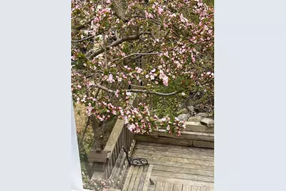 303 Nahant Road, Nahant, MA 01908 - Photo 35