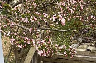 303 Nahant Rd, Nahant, MA 01908 - Photo 35