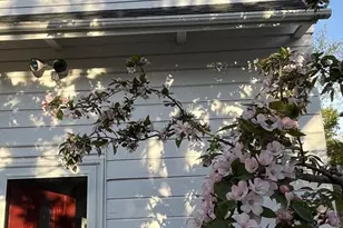 303 Nahant Rd, Nahant, MA 01908 - Photo 33