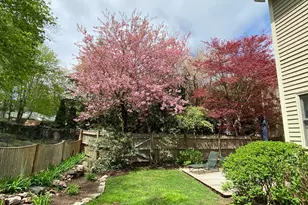 34 Pleasant St, Wellesley, MA 02482 - Photo 25