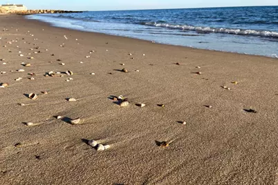 34 Pleasant St #3, Dennis, MA 02660 - Photo 17