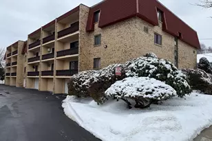 43-51 Albion St, Melrose, MA 02176 - Photo 5