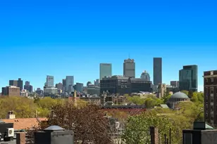 14 Green St, Brookline, MA 02446 - Photo 19