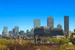 14 Green St, Brookline, MA 02446 - Photo 21