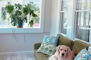 47 Academy Ave, Weymouth, MA 02189 - Photo 41