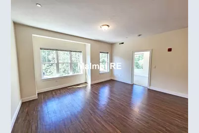 81 Amory St #204, Boston, MA 02119 - Photo 3