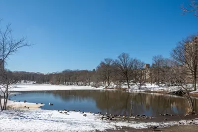 70 Jamaicaway #5, Boston, MA 02130 - Photo 15