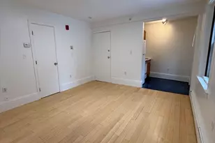 4 Milford St, Boston, MA 02118 - Photo 7