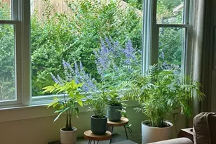 56 Garvin St, Oak Bluffs, MA 02557 - Photo 23