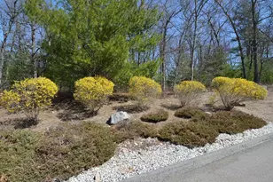 3 Oak View Terrace, Franklin, MA 02038 - Photo 37