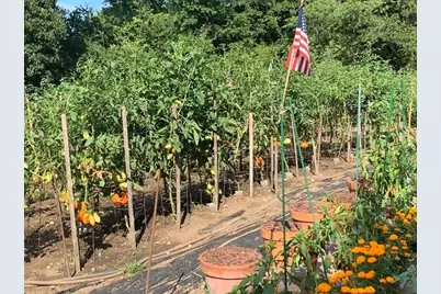 14 Stonybrook Ln #131, Middleton, MA 01949 - Photo 39