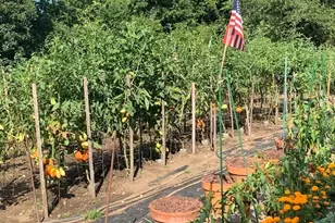 14 Stony Brook Ln, Middleton, MA 01949 - Photo 39