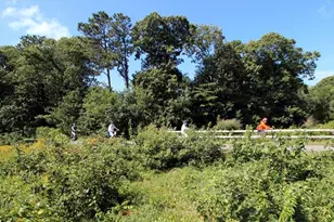 54 Old Colony Way, Orleans, MA 02653 - Photo 23