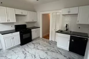 136 Homestead St, Boston, MA 02121 - Photo 1