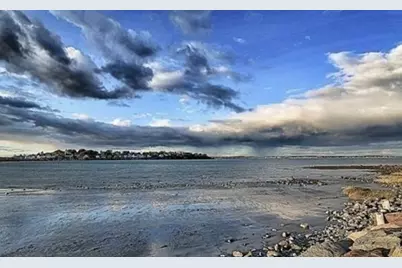 42 Phillips Rd, Nahant, MA 01908 - Photo 33