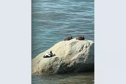 42 Phillips Rd, Nahant, MA 01908 - Photo 31