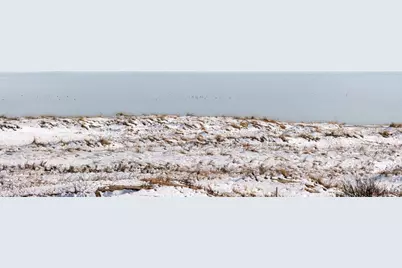 945 Commercial Street #Unit 3D, Provincetown, MA 02657 - Photo 9