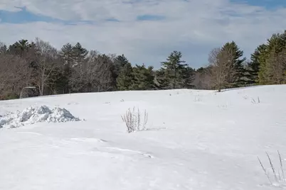 133 Wellesley Street, Weston, MA 02493 - Photo 31