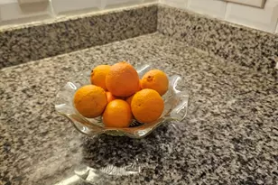 73 Palfrey St, Watertown, MA 02472 - Photo 13