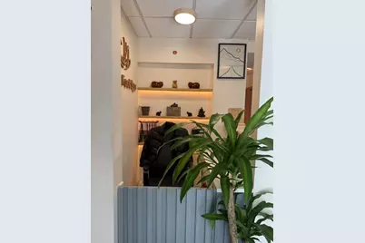 235 Harvard St, Brookline, MA 02446 - Photo 5