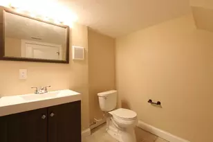 3 St James Pl, Boston, MA 02119 - Photo 19