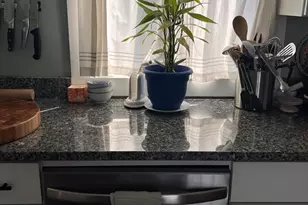 7 Leighton Ct, Gloucester, MA 01930 - Photo 5