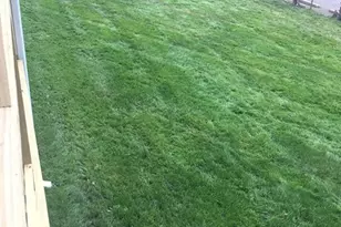 45 Clement Ave, Boston, MA 02132 - Photo 33