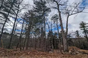 Lot 5 510 Old County Rd, Wales, MA 01081 - Photo 27