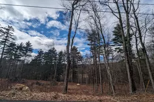 Lot 5 510 Old County Rd, Wales, MA 01081 - Photo 23