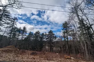 Lot 5 510 Old County Rd, Wales, MA 01081 - Photo 25