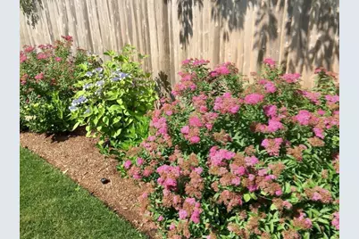 121 Eileen St, Yarmouth, MA 02675 - Photo 39