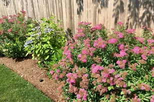 121 Eileen St, Yarmouth, MA 02675 - Photo 39