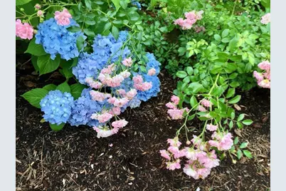 121 Eileen St, Yarmouth, MA 02675 - Photo 37