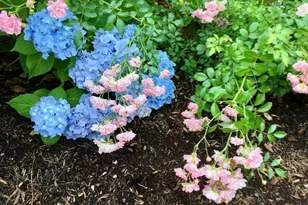 121 Eileen St, Yarmouth, MA 02675 - Photo 37