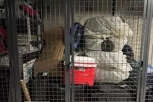 262 Monsignor O'Brien Hwy, Cambridge, MA 02141 - Photo 17