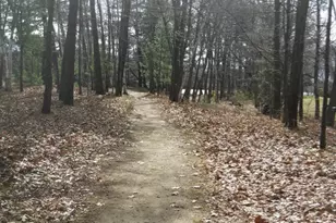 152 Wellman Ave, Chelmsford, MA 01863 - Photo 27