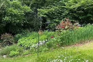 50 Mount Pleasant, Amherst, MA 01002 - Photo 3