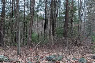 508 Old County Rd, Wales, MA 01081 - Photo 33