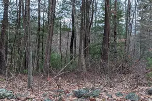 508 Old County Rd, Wales, MA 01081 - Photo 33